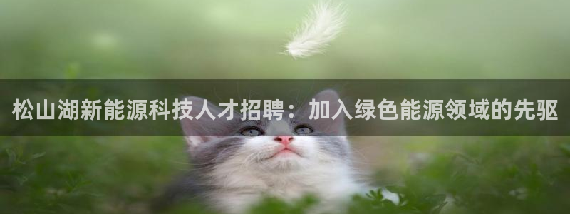 sunbet源码