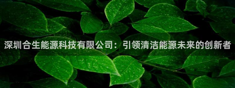 sunbet手机版登录