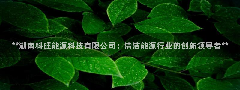 sunbet申搏官方网站