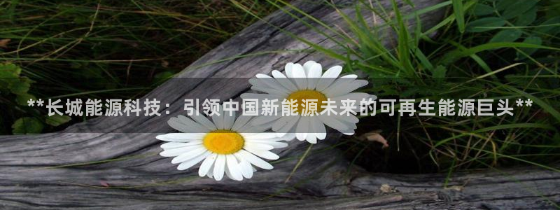 sunbet最新登陆