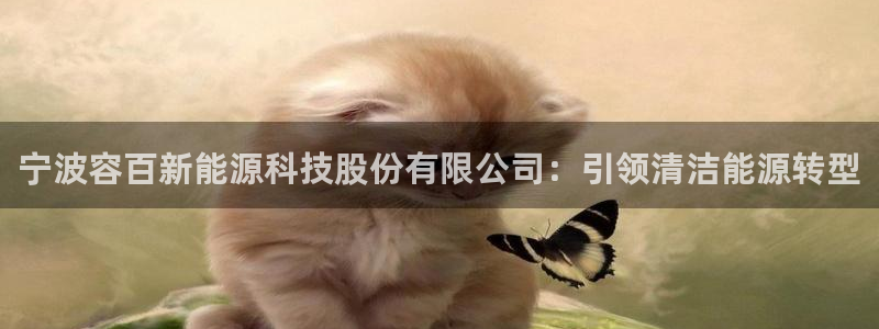 申博官网电脑版下载