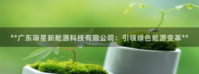 sunbet程序