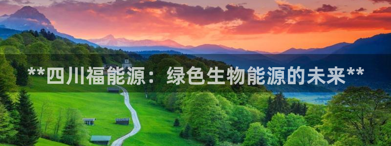 sunbet源码