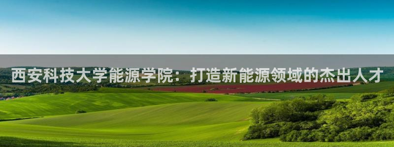 sunbet手机版官网下载