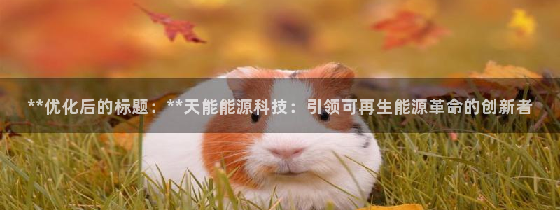 sunbet游戏官网