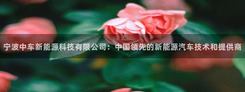 申博手机网址
