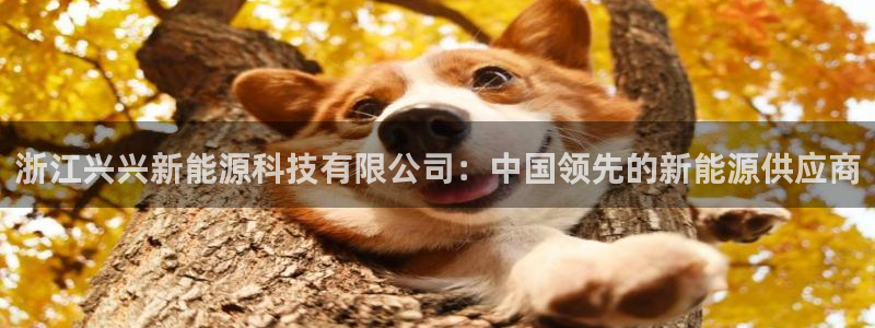 sunbet官网代理下载