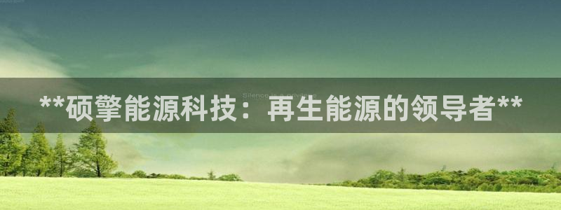 sunbet申搏平台