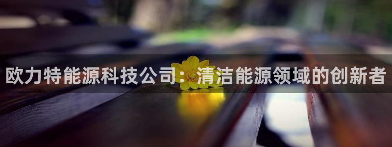sunbet中国官网