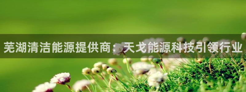 sunbet官网手机版登录