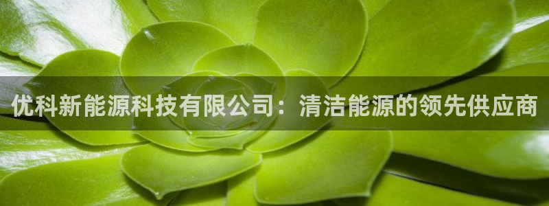 sunbet游戏最新版