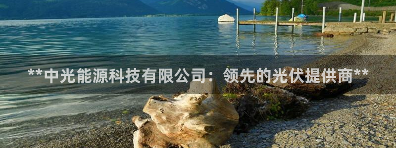 sunbet英语翻译