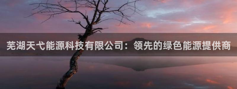 sunbet手机网页版本