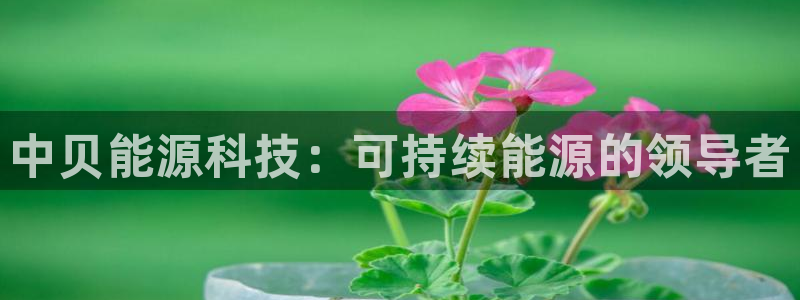 sunbet游戏网