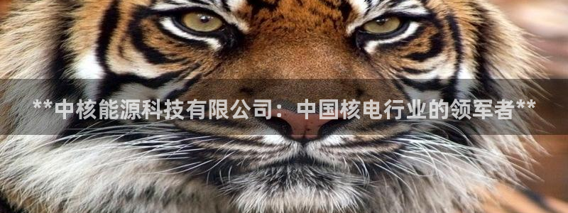 sunbet官网手机版登录