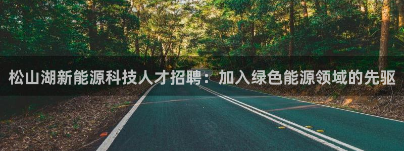 申博官方网站手机版下载