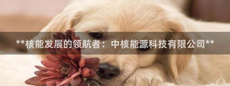 sunbet游戏地址