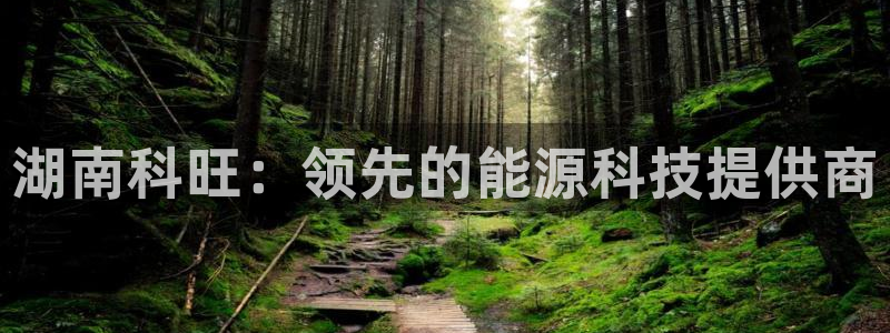 sunbet官网app首页