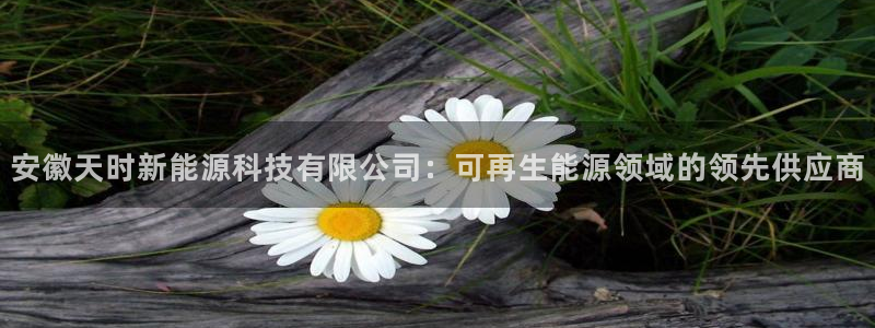 sunbet首页登录入口