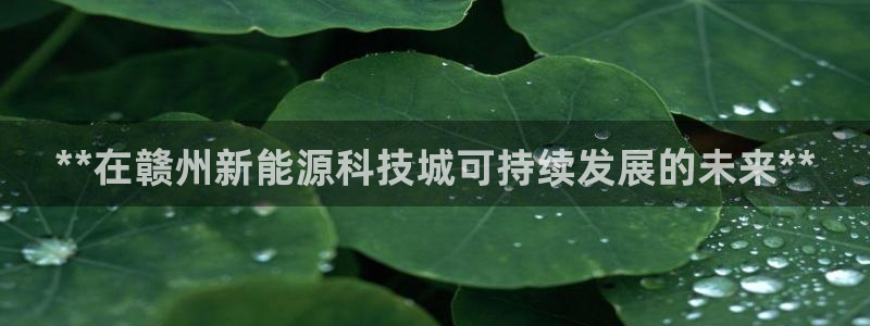 申博手机版官网