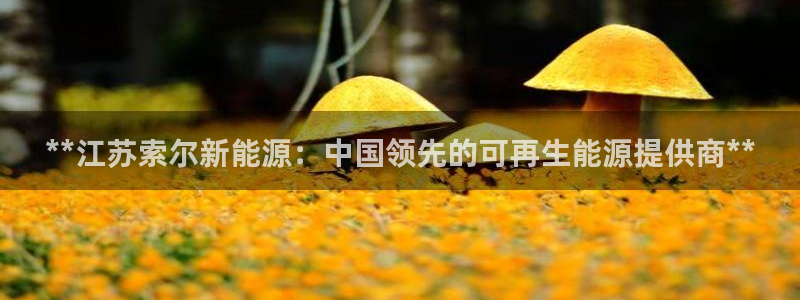 sunbet申搏平台