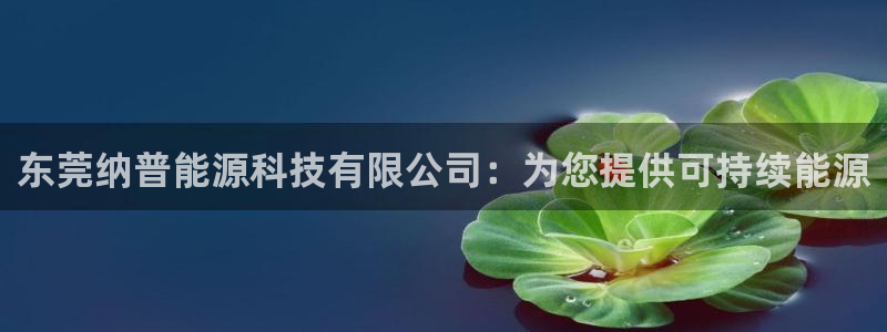 sunbet游戏最新版