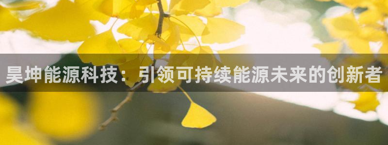 sunbet手机端