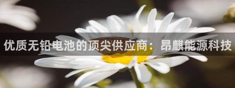 sunbet游戏地址