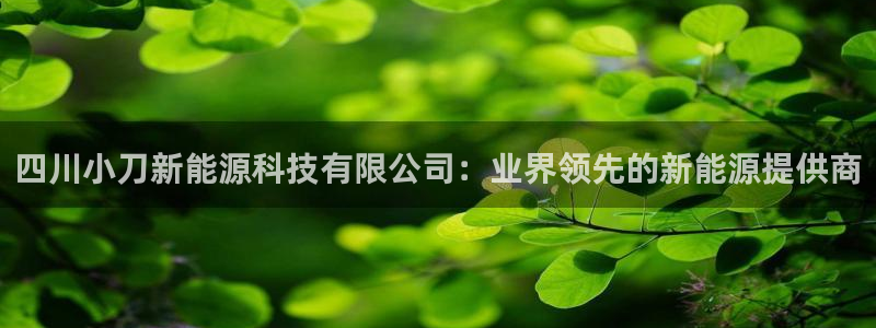 sunbet手机版官网下载