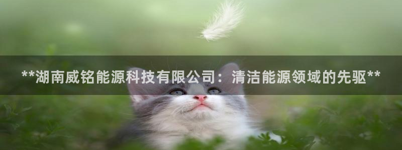 sunbet手机版登录