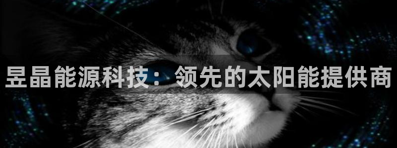 sunbet安卓下载