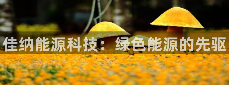 sunbet安卓下载