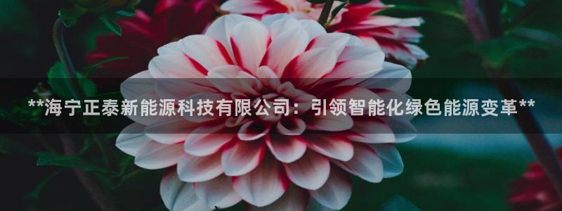 sunbet程序