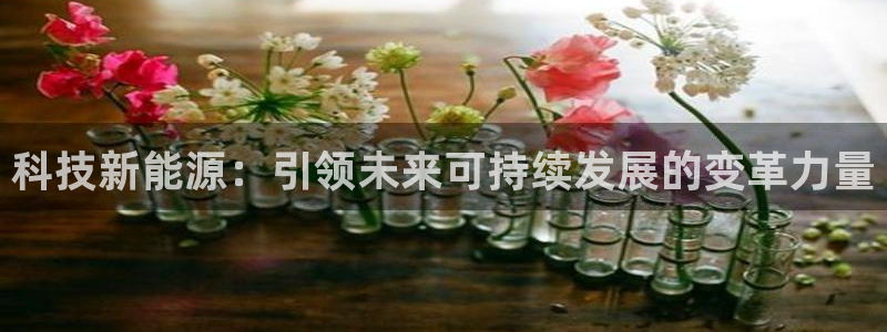 sunbet最新消息