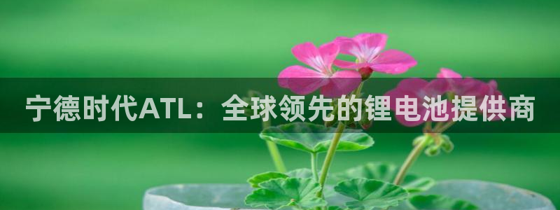 sunbet苹果官网下载