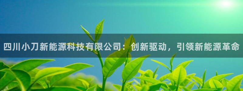 sunbet手机版官网下载