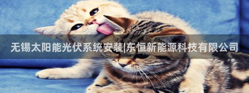 sunbet手机app版