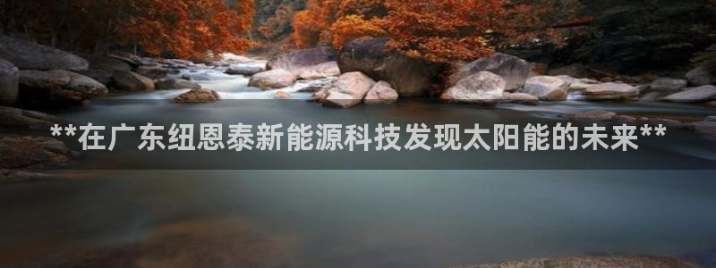 申博官方网站