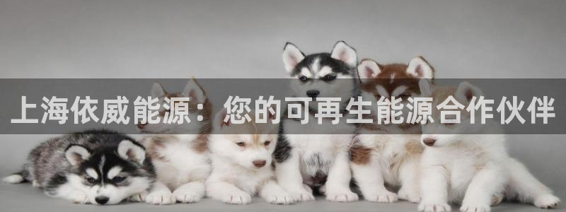 sunbet官网手机版登录