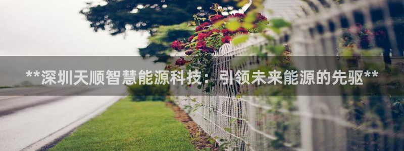 sunbet手机网页版本