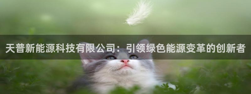 sunbet苹果官网下载