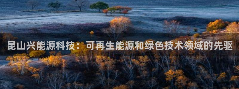 sunbet手机版官网下载