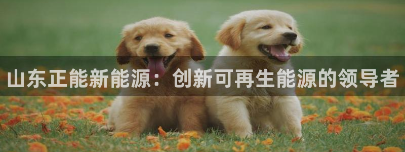 sunbet游戏网
