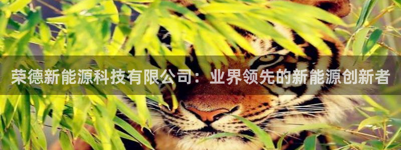sunbet官网手机版