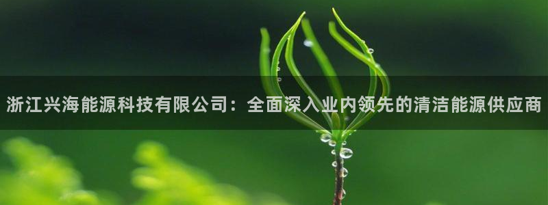 申博官网手机客户端