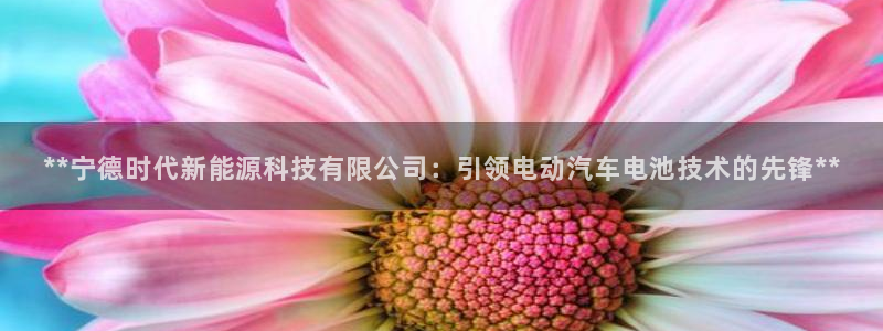 sunbet申搏app下载
