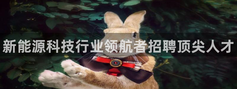 sunbet线上真人手机版