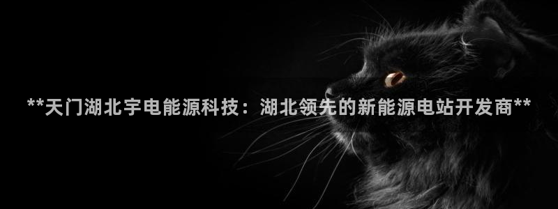 申慱sunbet版app
