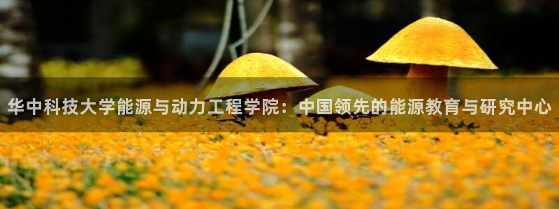 申博手机网站