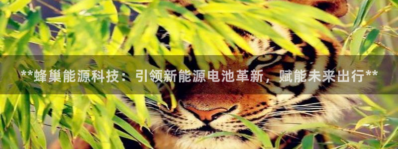 sunbet官网登录首页